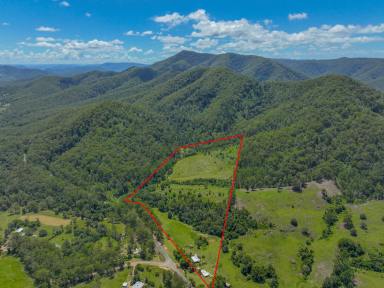 Farm For Sale - NSW - Knorrit Flat - 2424 - "YUANME" – Your Dream Awaits!  (Image 2)