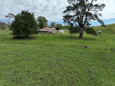 Farm Auction - NSW - Shannon Vale - 2370 - First time offered since 1905  (Image 2)