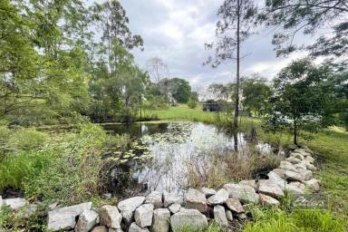 Farm For Sale - QLD - Glenwood - 4570 - THEY DON'T GET MORE TRANQUIL THAN THIS!  (Image 2)
