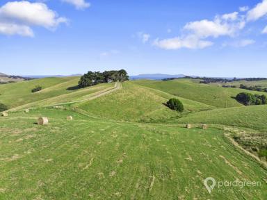 Farm For Sale - VIC - Foster - 3960 - AMAZING OPPORTUNITY ON AMEYS  (Image 2)