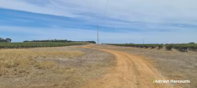 Farm For Sale - WA - Narrikup - 6326 - Productive Property in Central Location!  (Image 2)