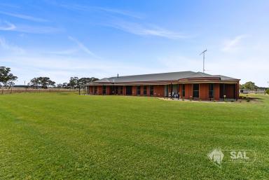 Farm For Sale - SA - Naracoorte - 5271 - When Size Matters,  Amazing Lifestyle Opportunity - 57 Acres  (Image 2)