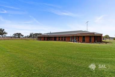 Farm For Sale - SA - Naracoorte - 5271 - Amazing Lifestyle Opportunity - 57 Acres  (Image 2)