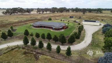 Farm For Sale - SA - Naracoorte - 5271 - Amazing Lifestyle Opportunity - 57 Acres  (Image 2)