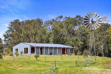 Farm For Sale - VIC - Murrindindi - 3717 - Green River  (Image 2)