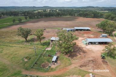 Farm For Sale - NSW - Inverell - 2360 - HOLMWOOD - IRRIGATION & CROPPING  (Image 2)