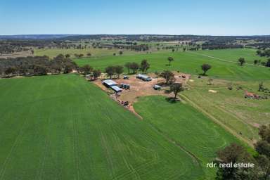 Farm For Sale - NSW - Inverell - 2360 - HOLMWOOD - IRRIGATION & CROPPING  (Image 2)