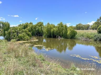 Farm For Sale - NSW - Inverell - 2360 - HOLMWOOD - IRRIGATION & CROPPING  (Image 2)