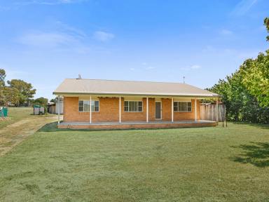 Farm Sold - NSW - Quirindi - 2343 - A lucrative investment opportunity.  (Image 2)