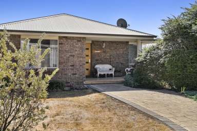 Farm Sold - TAS - Swansea - 7190 - Privacy with views over Swansea  (Image 2)