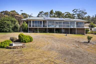 Farm Sold - TAS - Swansea - 7190 - Privacy with views over Swansea  (Image 2)