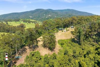 Farm For Sale - NSW - Central Tilba - 2546 - Great Value Off-Grid Property @ Central Tilba  (Image 2)