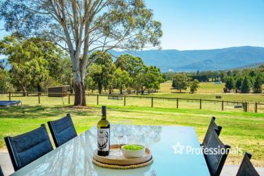 Farm For Sale - VIC - Yarra Junction - 3797 - DISCOVER SERENITY AND SOPHISTICATION 40 ACRES APPROX  (Image 2)