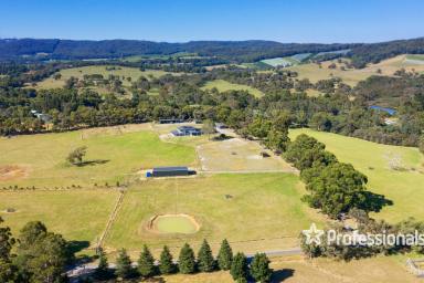 Farm For Sale - VIC - Yarra Junction - 3797 - DISCOVER SERENITY AND SOPHISTICATION 40 ACRES APPROX  (Image 2)