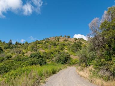 Farm Sold - QLD - Mount Colliery - 4370 - SECLUDED & PICTURESQUE LIFESTYLE RETREAT  (Image 2)