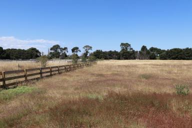 Farm For Sale - VIC - Inverleigh - 3321 - Can we get a pony?  (Image 2)