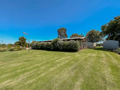 Farm For Sale - VIC - Woorinen - 3589 - Worth waiting for.  (Image 2)