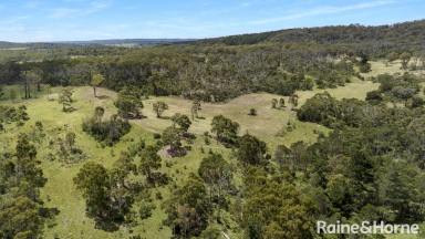 Farm For Sale - NSW - Nerriga - 2622 - Ohh what a property on Oallen  (Image 2)