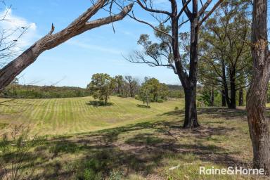 Farm For Sale - NSW - Nerriga - 2622 - Ohh what a property on Oallen  (Image 2)