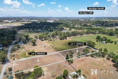 Farm For Sale - VIC - East Bendigo - 3550 - Scenic Residential Lifestyle Allotments Just 6km from CBD  (Image 2)