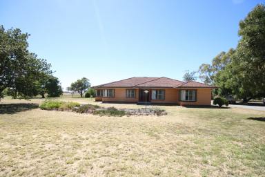 Farm For Sale - VIC - Kyabram South - 3620 - SPACIOUS 4-BEDROOM RESIDENCE 5-ACRES WITH STABLES  (Image 2)