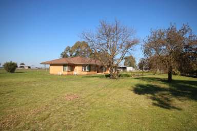 Farm For Sale - VIC - Kyabram South - 3620 - SPACIOUS 4-BEDROOM RESIDENCE 5-ACRES WITH STABLES  (Image 2)