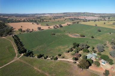 Farm For Sale - NSW - Cowra - 2794 - Graze and Grain  (Image 2)