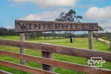 Farm For Sale - NSW - Glen Innes - 2370 - 'WinterHills'  (Image 2)