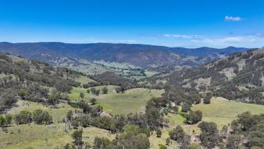 Farm For Sale - NSW - Ogunbil - 2340 - ESCAPE ORDINARY: ELEVATE YOUR LIFESTYLE  (Image 2)