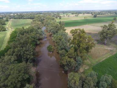 Farm Sold - NSW - Forbes - 2871 - River Frontage 4km to Forbes + Fully Renovated 5 B/R Residence  (Image 2)