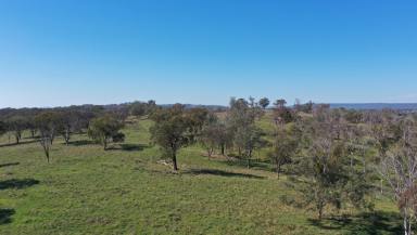 Farm For Sale - NSW - Bundarra - 2359 - IDEAL STARTER OR ADD ON BLOCK  (Image 2)