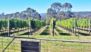 Farm For Sale - TAS - Loira - 7275 - Winter Brook Vineyard W.I.W.O. - An Exciting One Stop Opportunity  (Image 2)