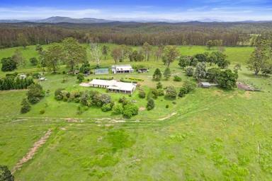 Farm For Sale - QLD - North Deep Creek - 4570 - FANTASTIC LIFESTYLE OPPORTUNITY  (Image 2)
