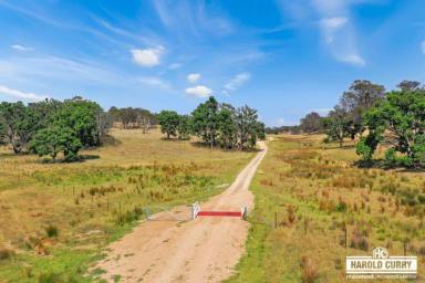 Farm For Sale - NSW - Tenterfield - 2372 - 'Valley Views'.....  (Image 2)