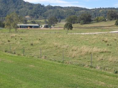Farm For Sale - NSW - Kyogle - 2474 - DA APPROVED INDUSTRIAL BLOCK  (Image 2)