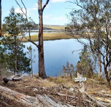 Farm For Sale - TAS - Little Swanport - 7190 - Serenity at its best  (Image 2)