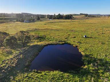 Farm For Sale - NSW - Nimmitabel - 2631 - Rural Lifestyle Production close to Surf & Snow  (Image 2)