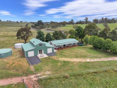 Farm For Sale - NSW - Nimmitabel - 2631 - Rural Lifestyle Production close to Surf & Snow  (Image 2)