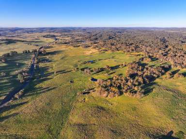 Farm For Sale - NSW - Nimmitabel - 2631 - Rural Lifestyle Production close to Surf & Snow  (Image 2)