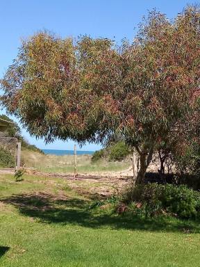 Farm Sold - TAS - Dolphin Sands - 7190 - Sit & admire the view  (Image 2)