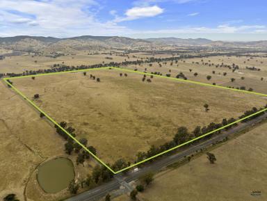 Farm For Sale - VIC - Violet Town - 3669 - Expression Of Interest for up to 1006 acres of Prime Farmland at Violet Town  (Image 2)
