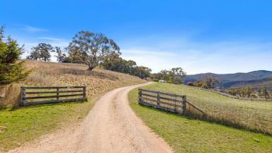Farm Sold - NSW - Wisemans Creek - 2795 - “Lawrences Views”
23.46*ha/57*acres  (Image 2)