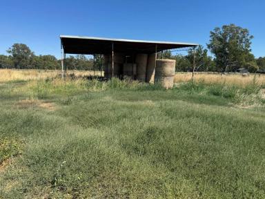Farm For Sale - VIC - Rochester - 3561 - An opportunity not to be missed  (Image 2)