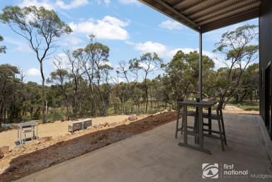Farm For Sale - NSW - Mudgee - 2850 - PRIVATE POSITION WITH GREAT SHEDDING  (Image 2)