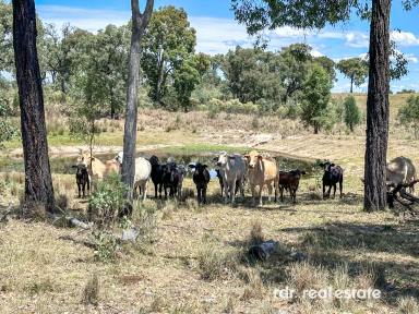 Farm For Sale - NSW - Bundarra - 2359 - BONSANTE - SHEEP, CATTLE & GOATS  (Image 2)