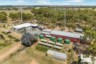 Farm For Sale - VIC - Bromley - 3472 - 113 Acres With Extensive High Quality Shedding and Housing  (Image 2)