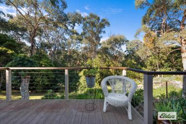 Farm For Sale - VIC - Metung - 3904 - Escape To The Country  (Image 2)