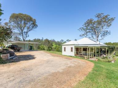 Farm For Sale - NSW - Bega - 2550 - 10 HECTARES OF PRIVACY!  (Image 2)