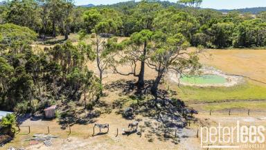 Farm For Sale - TAS - St Helens - 7216 - Black Gum Cottage - Sub Divisible property in paradise!  (Image 2)