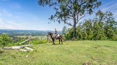 Farm For Sale - NSW - Wingham - 2429 - ENDLESS POSSIBILITIES!!!  (Image 2)
